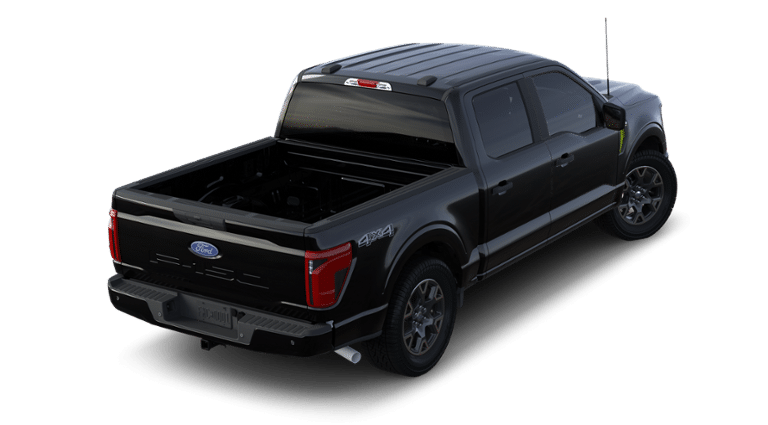 2024 Ford F-150 Vehicle Photo in Terrell, TX 75160